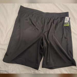 DSG Men's Gray Shorts